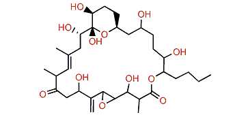 Amphidinolide N